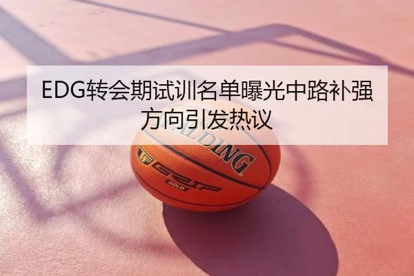 EDG转会期试训名单曝光中路补强方向引发热议