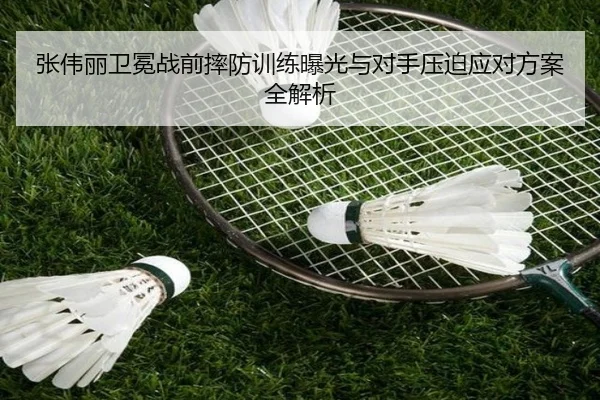 张伟丽卫冕战前摔防训练曝光与对手压迫应对方案全解析